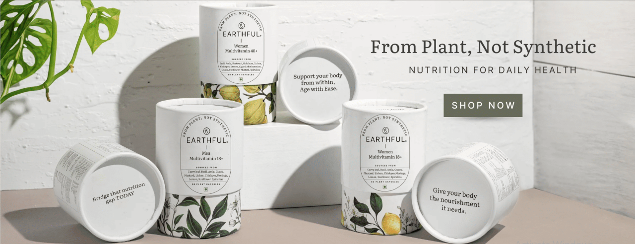 Earthful — sustainable lifestyle Shopify store built by Xpertshire